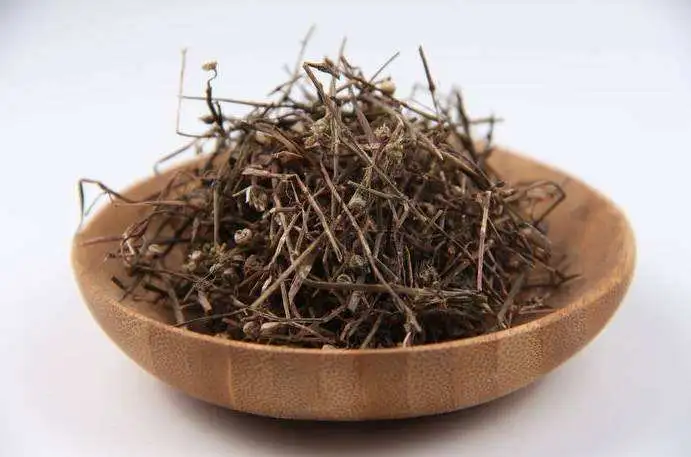 药草铺白花蛇舌草药草图集