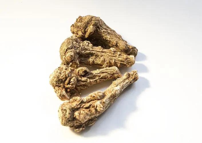 药草铺当归药草图集
