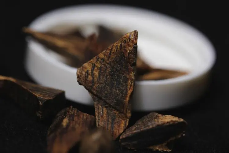 药草铺沉香药草图集