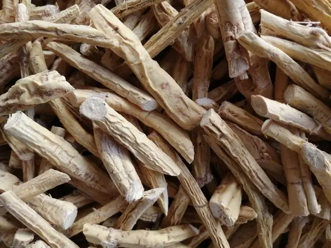 药草铺牛大力药草图集