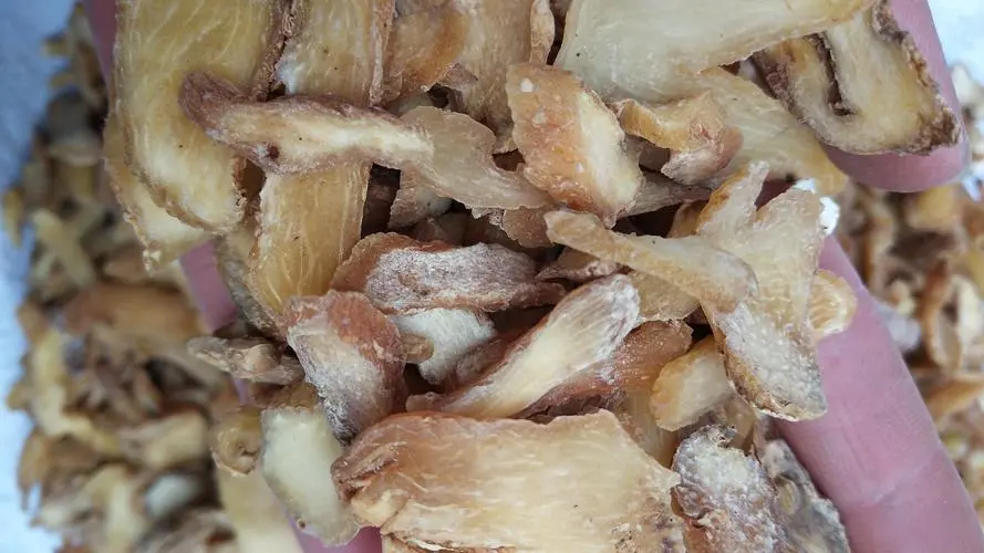 药草铺黄精药草图集
