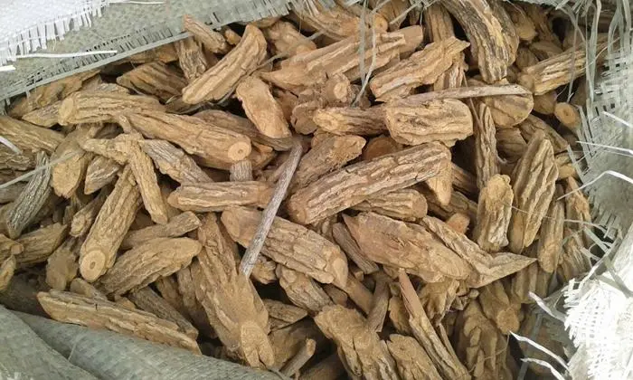 药草铺雷公藤药草图集