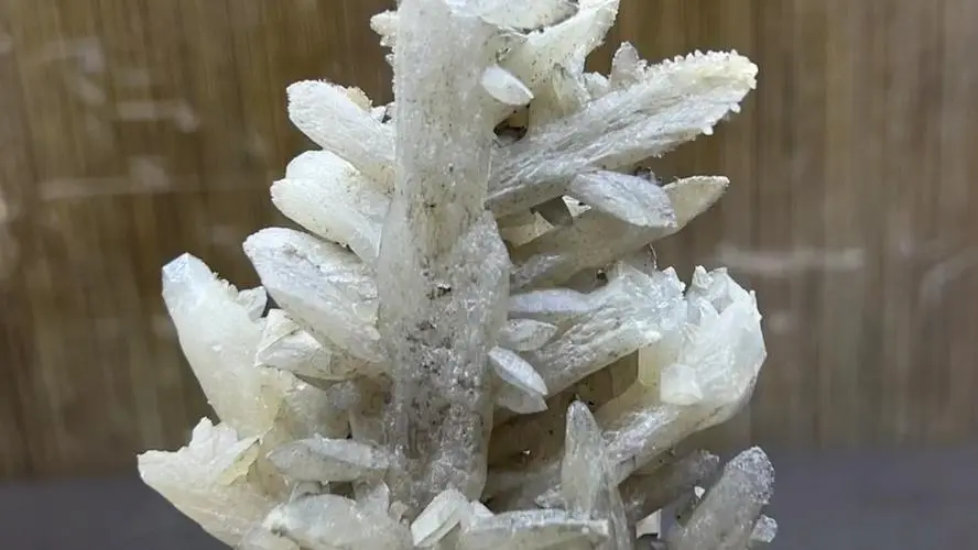 药草铺方解石药草图集
