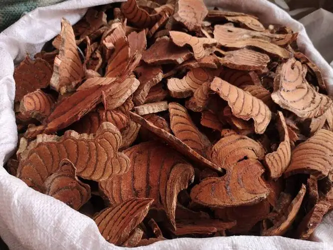 药草铺血风藤药草图集