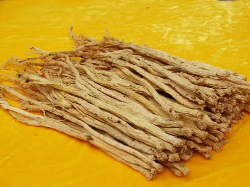 药草铺党参药草图集