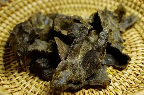 药草铺沉香药草图集