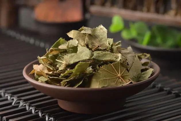 药草铺淫羊藿药草图集