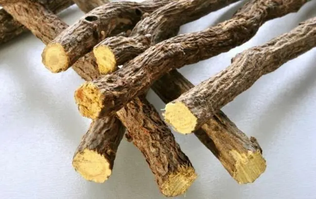 药草铺甘草药草图集