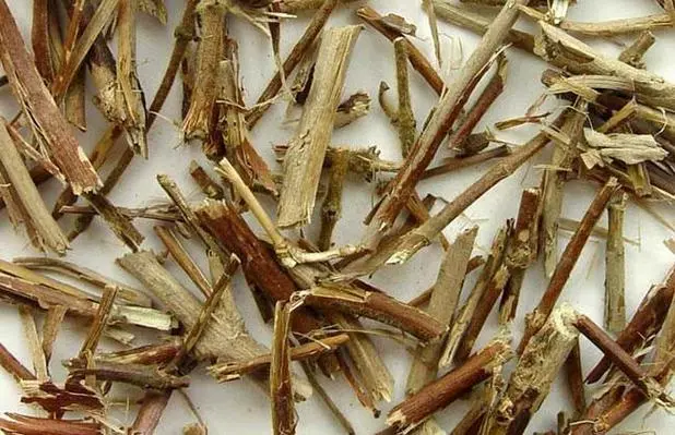 药草铺忍冬藤药草图集