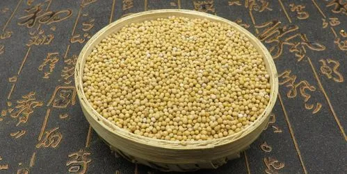 药草铺白芥子药草图集