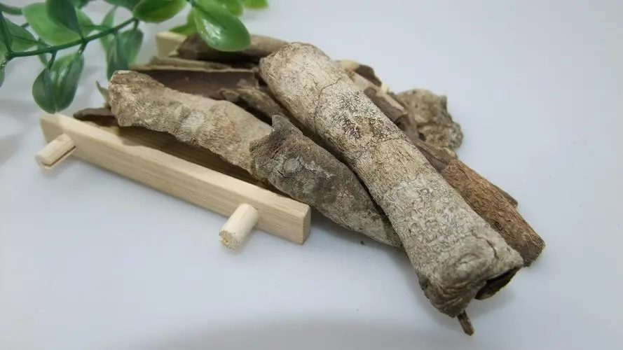 药草铺救必应药草图集