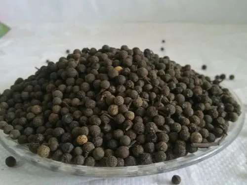 药草铺澄茄子药草图集