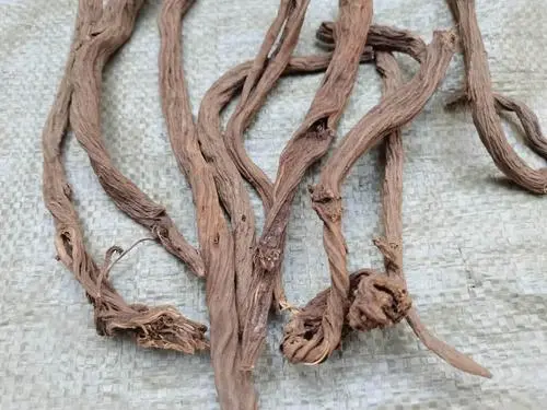 药草铺独一味药草图集