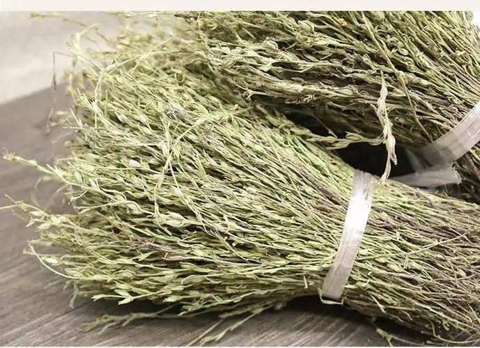 药草铺独脚金药草图集