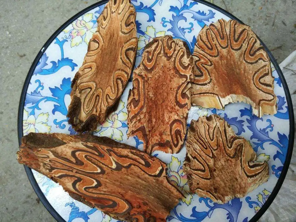 药草铺飞天蠄蟧药草图集