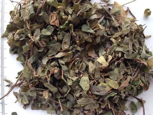 药草铺鸡骨香药草图集