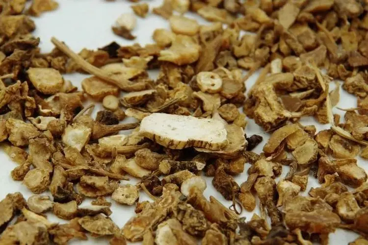 药草铺珠子参药草图集