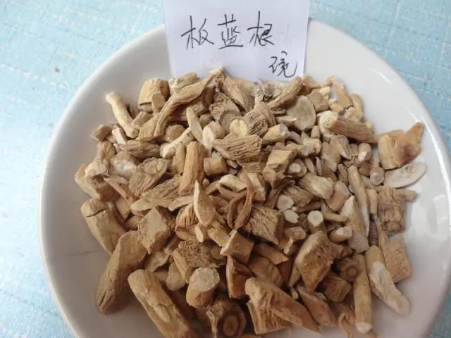 药草铺板蓝根药草图集