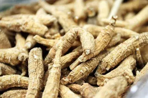 药草铺华山参药草图集