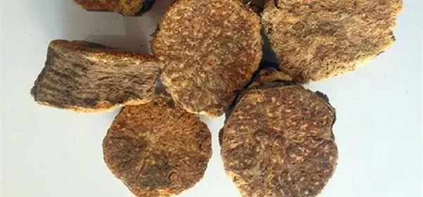 药草铺阿魏药草图集