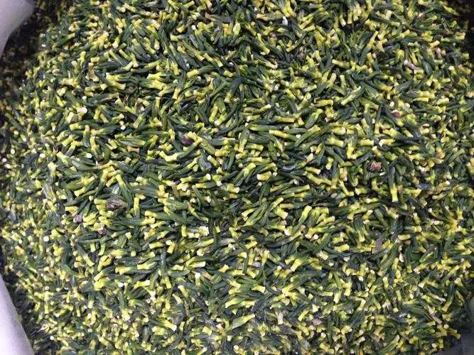 药草铺莲子心药草图集