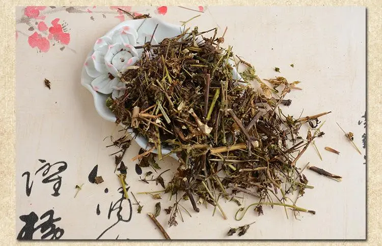药草铺青叶胆药草图集