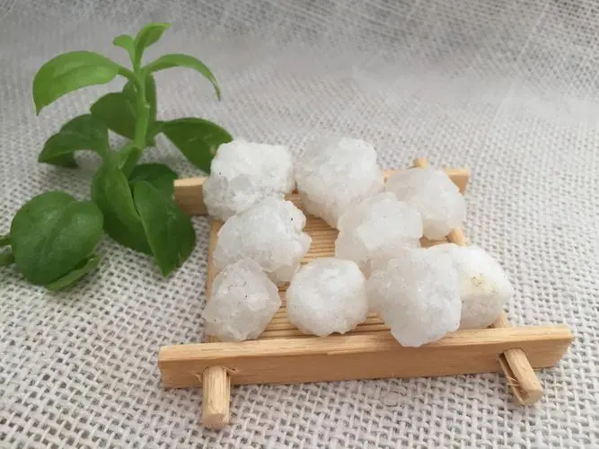 药草铺大青盐药草图集