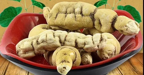 药草铺白首乌药草图集