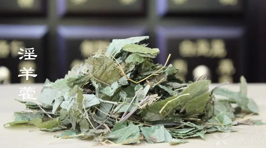 药草铺巫山淫羊藿药草图集