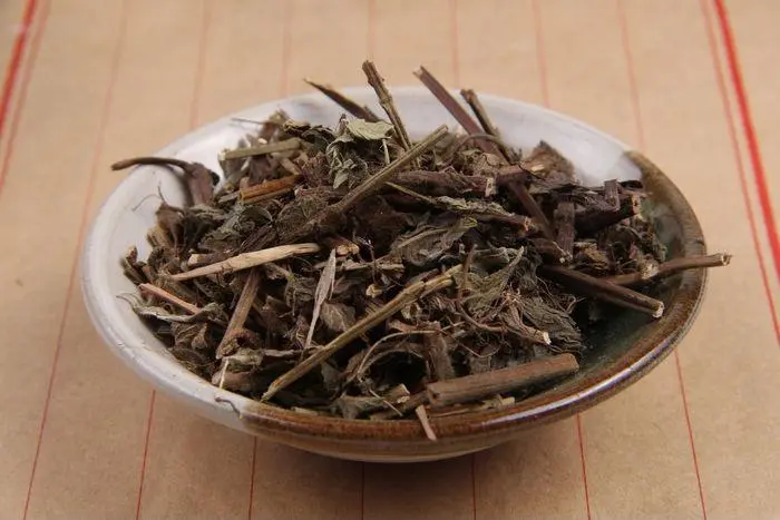 药草铺蓝布正药草图集