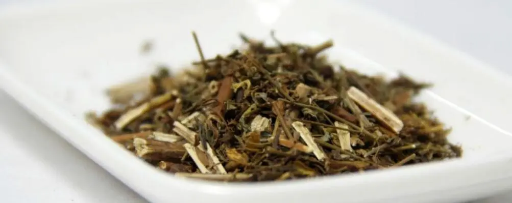 药草铺贯叶金丝桃药草图集