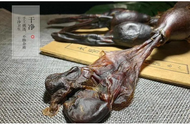 药草铺狗肾药草图集