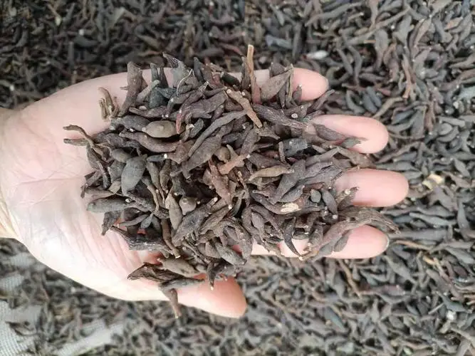 药草铺两头尖药草图集