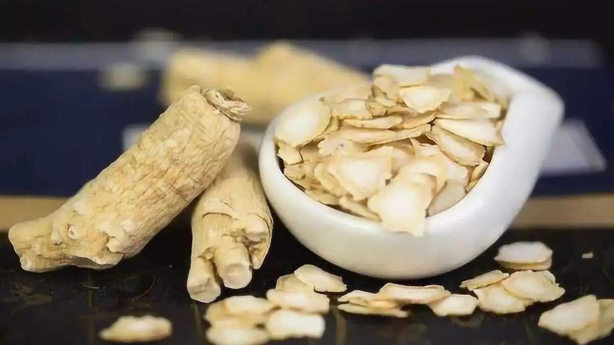 药草铺西洋参药草图集