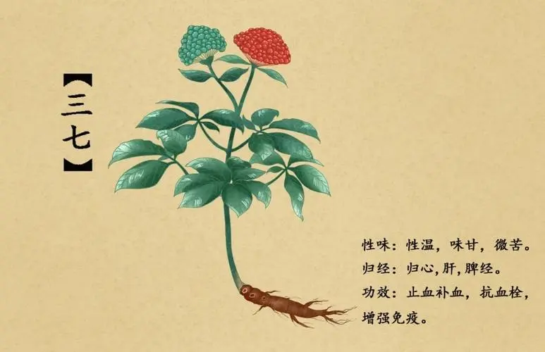 药草铺三七药草图集