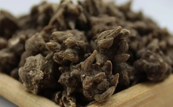 药草铺猫爪草药草图集