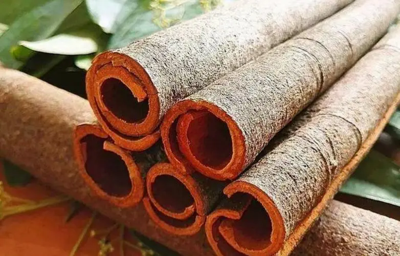 药草铺阴香皮药草图集