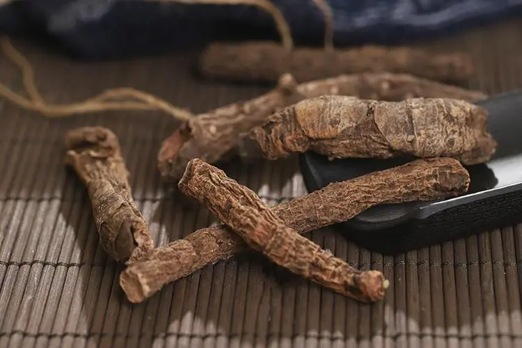 药草铺盘龙七药草图集