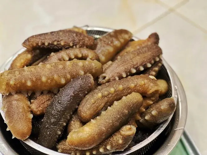 药草铺海参药草图集