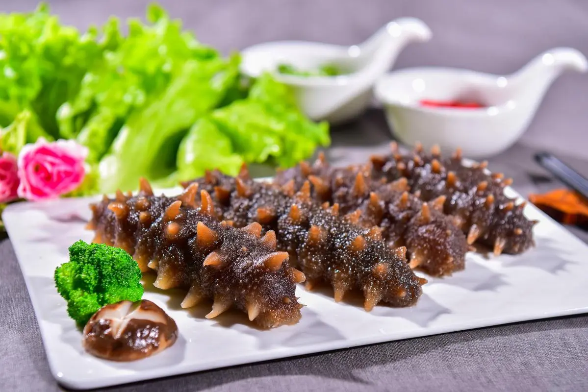 药草铺海参药草图集