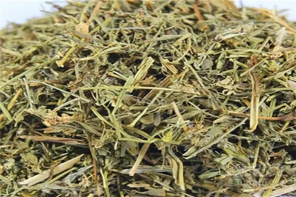 药草铺透骨草药草图集
