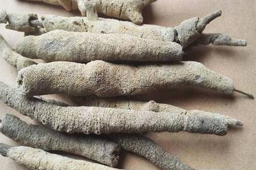 药草铺紫梢花药草图集