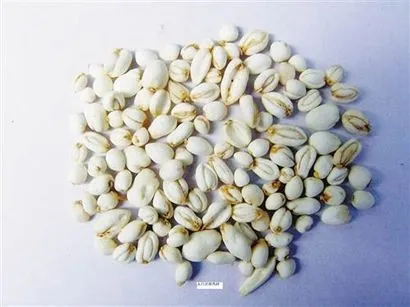 药草铺太白米药草图集