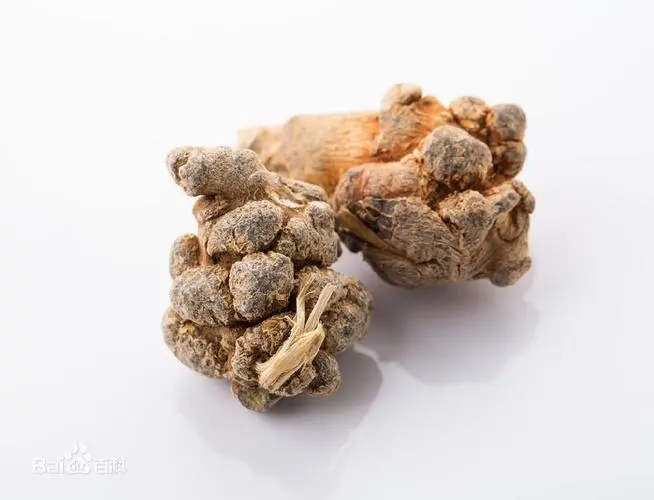 药草铺盘龙七药草图集